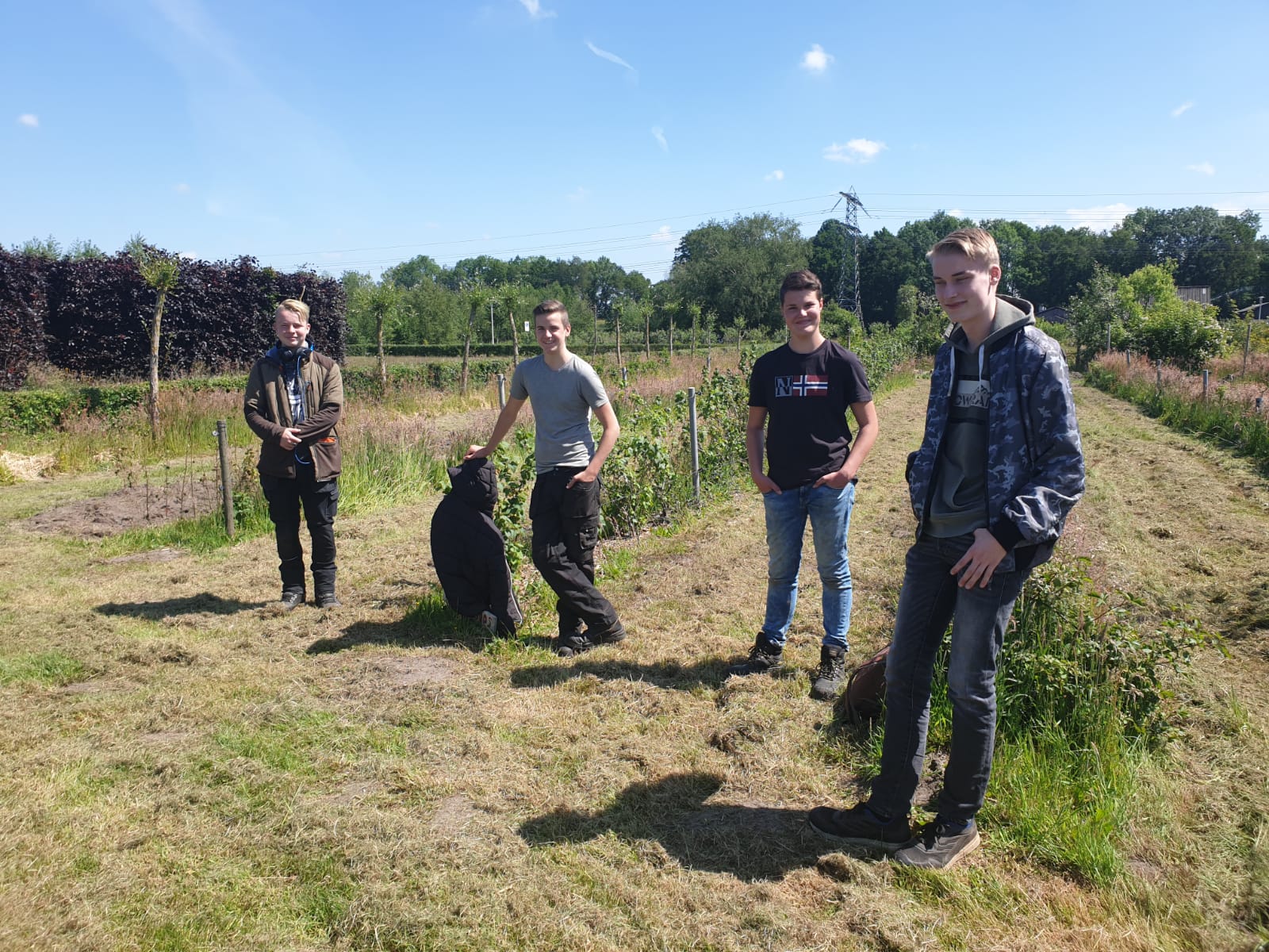 Kevin, Jens, Maik en Gert- plant en groene leefomgeving